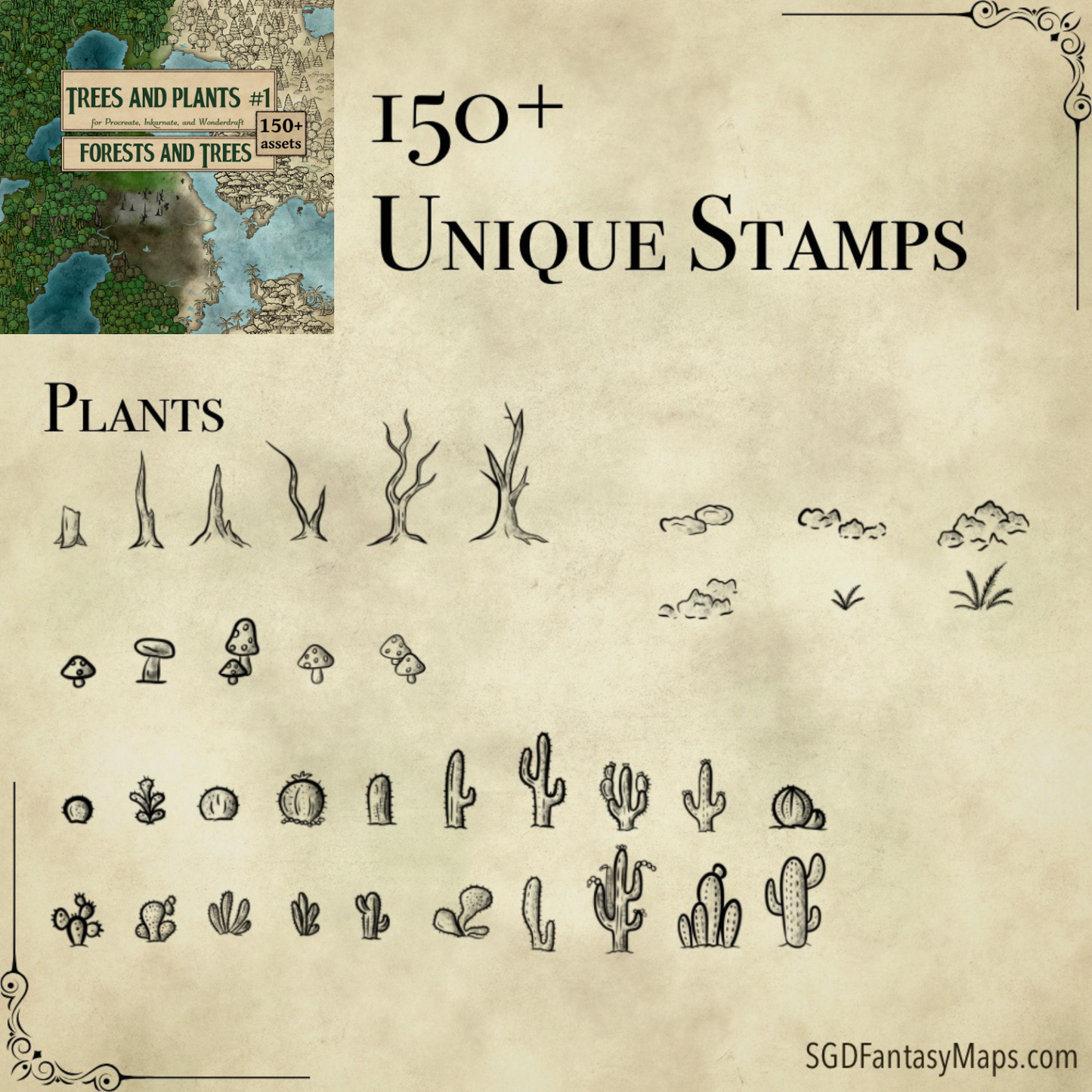Mapmaking 3-in-1 Beginner Bundle